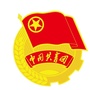 青春西夏ico