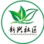 新都街道新兴社区ico