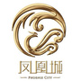 鑫达献县凤凰城ico
