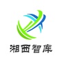 湘西智库ico