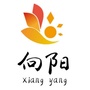 河源市向阳拉丁舞ico