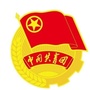 咸阳共青团ico