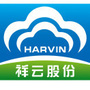 祥云股份ico