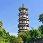 魅力甘棠ico