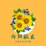 滨河镇向阳社区ico