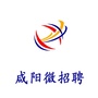 咸阳微招聘ico