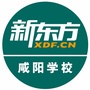 咸阳新东方ico