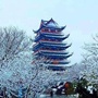 盱眙公共资源交易信息发布ico