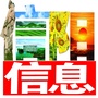 信阳信息ico