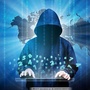 学在白杨ico