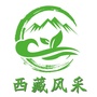 西藏风采旅游ico