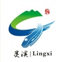 灵溪资讯ico
