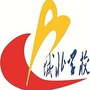 叙州区柏溪城北学校ico