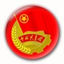 襄州青年ico