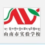 西藏山南市实验学校ico