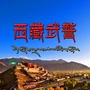 西藏武警ico