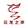 云龙之声ico