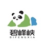 东方碧峰峡公众号ico