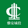 雅安城投ico