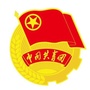 雅安青年ico