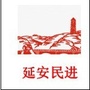 延安民进ico