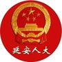 延安人大ico