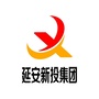 延安新投集团ico