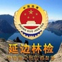 延边林检ico