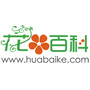 养花大全公众号ico
