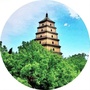 雁塔旅游ico