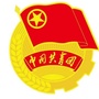 裕安共青团ico