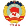 宜宾政协ico