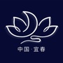 宜春文旅ico