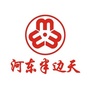 河东半边天ico