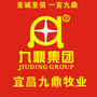 宜昌九鼎牧业有限公司ico