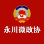 永川微政协ico