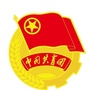 永川团小微ico