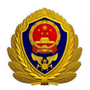 西夏消防ico