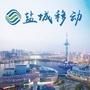 盐城移动ico