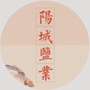 阳城盐业ico