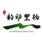 韵动罡杨ico