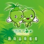 海南椰晖旅游公众号ico