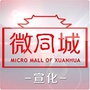 宣化微同城ico