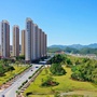 云安都杨ico