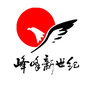 峰峰新世纪广场ico