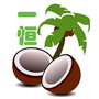 中岳公司ico