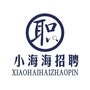 小海海招聘ico
