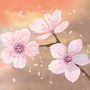 樱花妈妈育儿ico