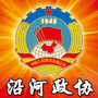 沿河政协公众号ico