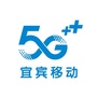 宜宾移动微厅ico